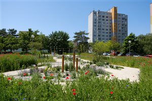 park1